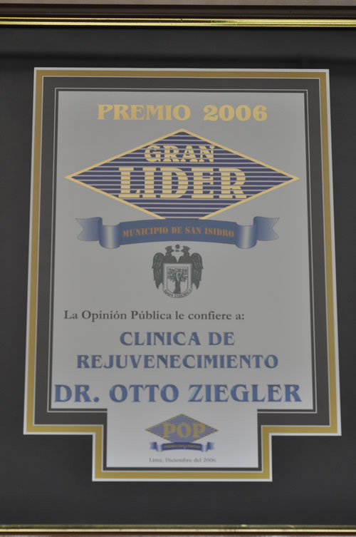 Diploma Gran Líder 2006